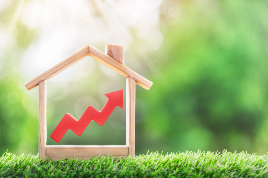 Las Vegas Home Buyer Guide